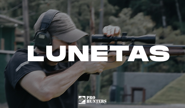Lunetas: O que você precisa saber?